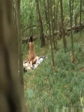 Amateur rushes voyeur hard pounding in the forest